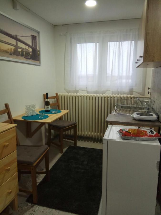 Tatjanina Garsonjera Apartment Subotica Exterior photo
